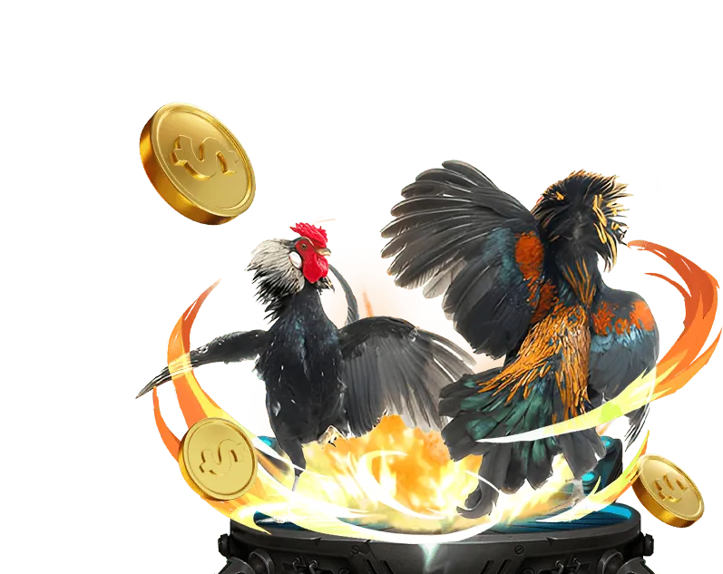 Lợi ích Chương Trình VIP